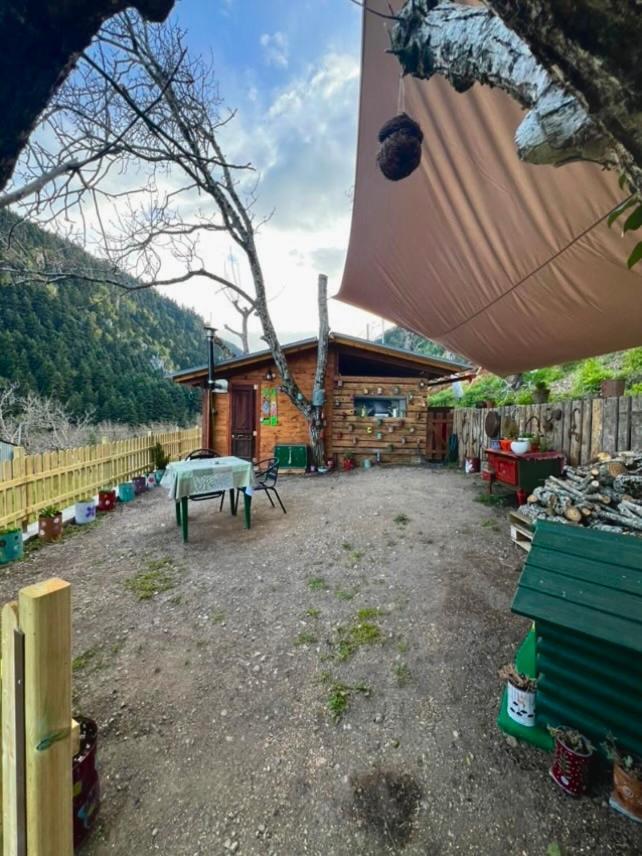 Rvilla Pavliani